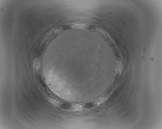 X0000080730701200701051059