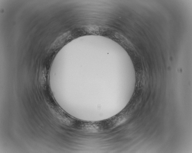 X0000080730702200701051059