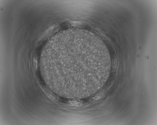 X0000080730703200701051059