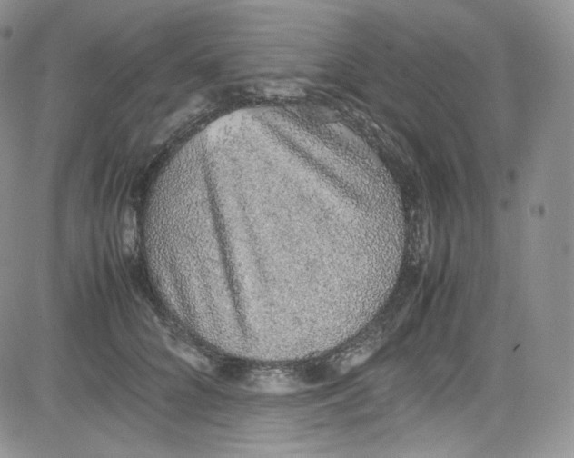 X0000080730704200701051059