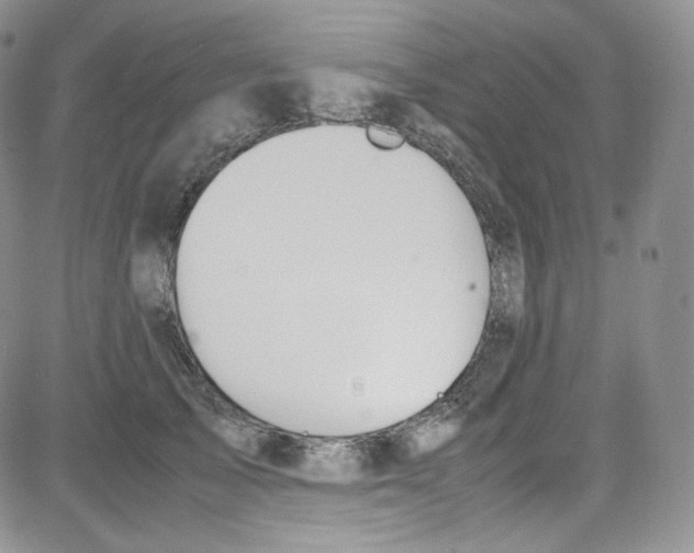 X0000080730705200701051059