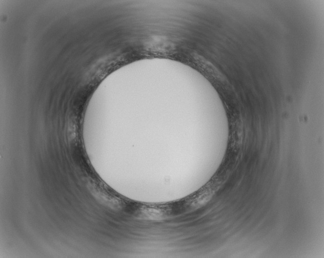 X0000080730706200701051059