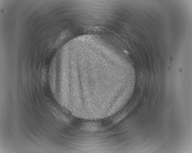 X0000080730708200701051059