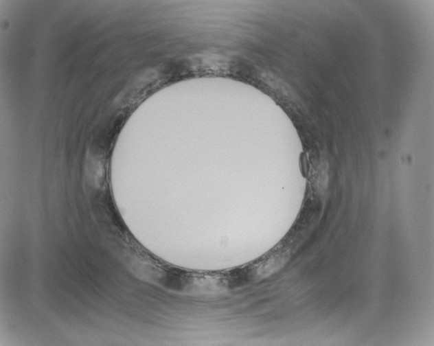 X0000080730709200701051059