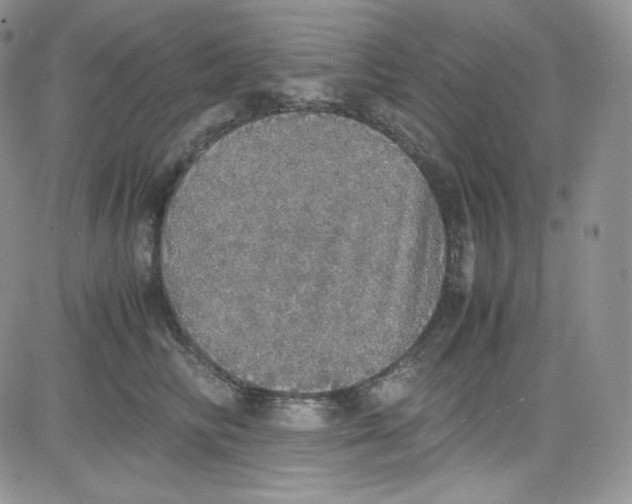 X0000080730710200701051059