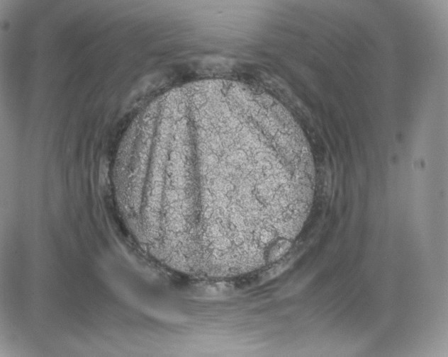 X0000080730711200701051059