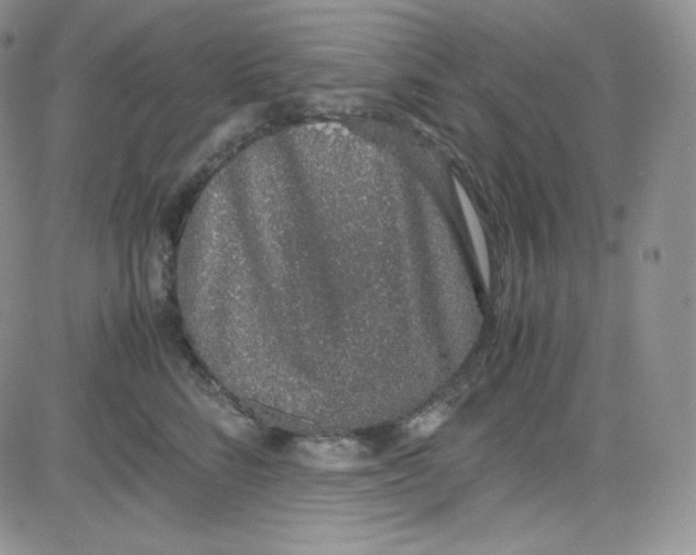 X0000080730712200701051059