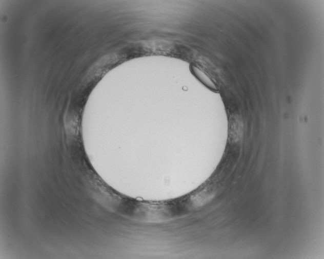 X0000080730713200701051059