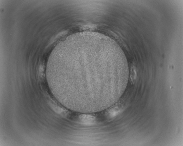 X0000080730714200701051059