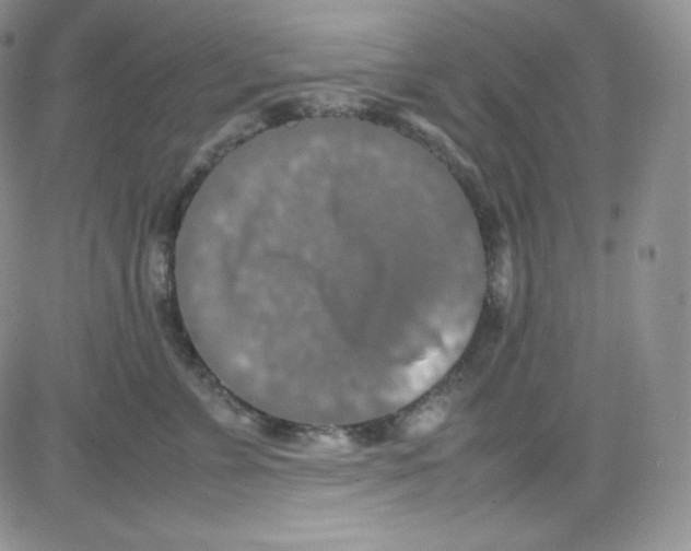 X0000080730715200701051059