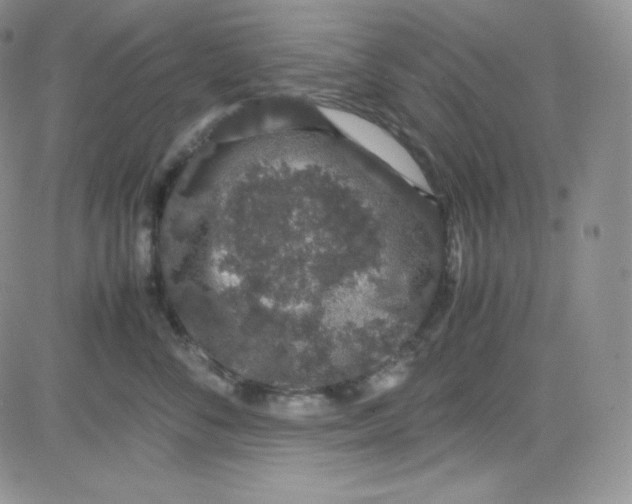 X0000080730716200701051059