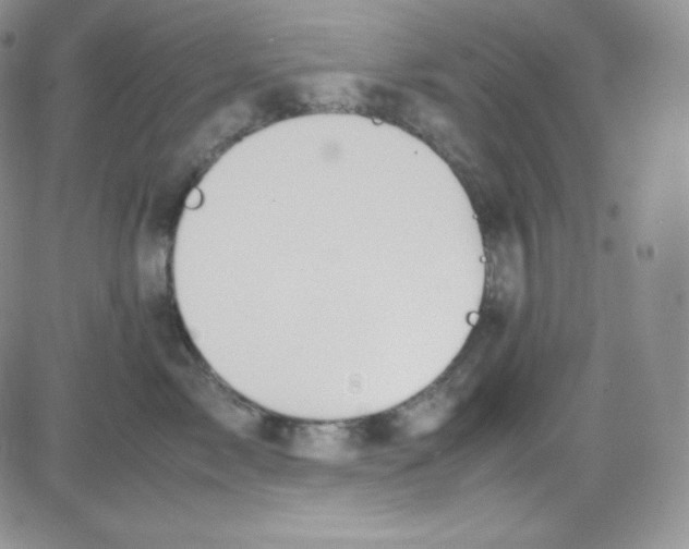 X0000080730717200701051059