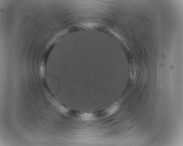 X0000080730718200701051059