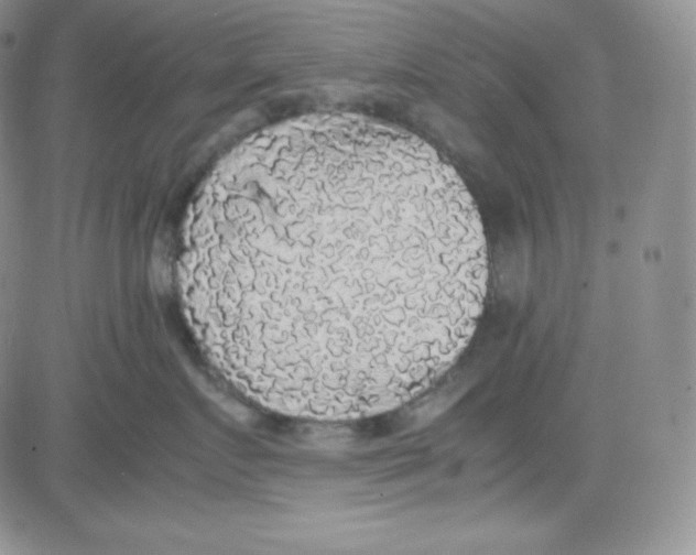 X0000080730719200701051059