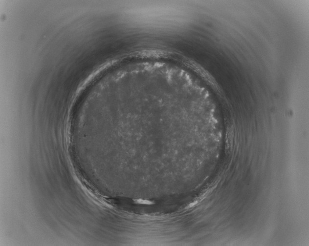 X0000080730722200701051058