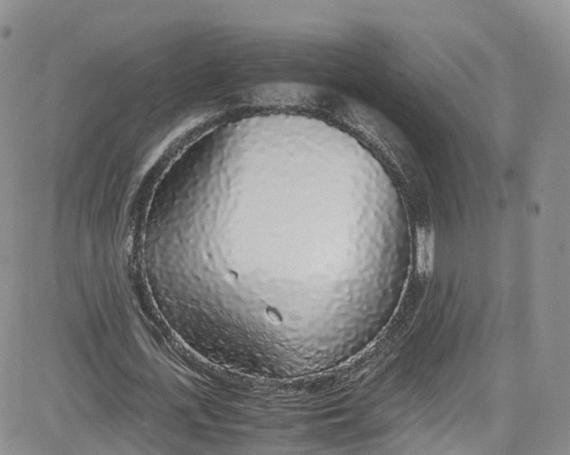 X0000080730723200701051058