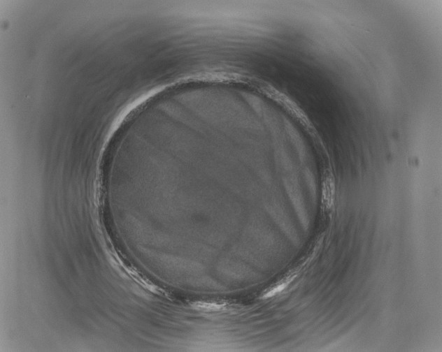 X0000080730724200701051058