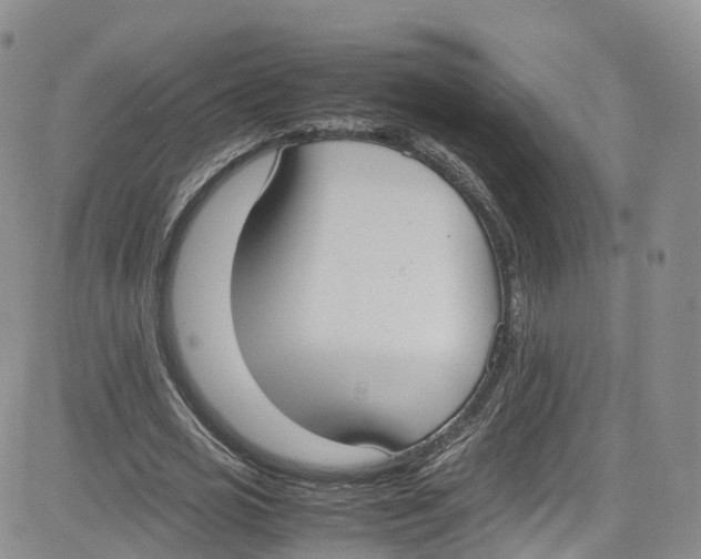 X0000080730725200701051058