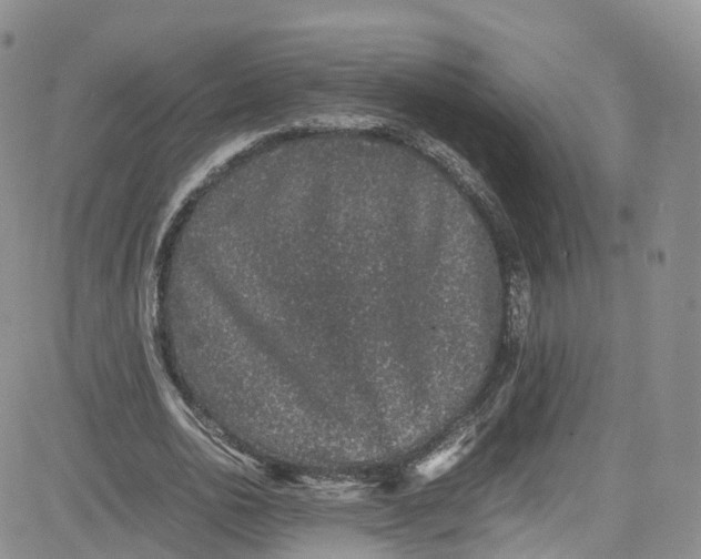 X0000080730726200701051058