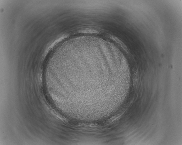 X0000080730727200701051058