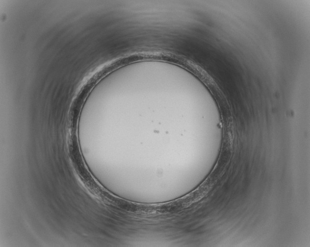 X0000080730728200701051058