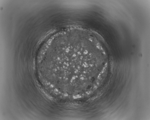 X0000080730729200701051058