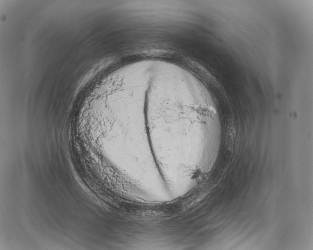 X0000080730734200701051058