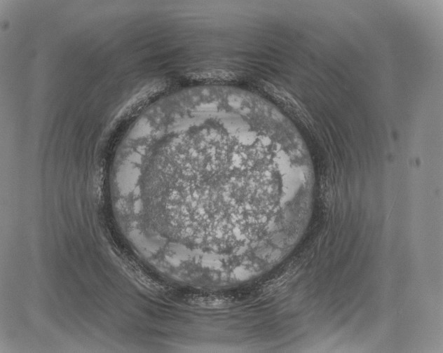 X0000080730735200701051058