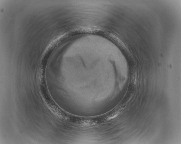 X0000080730736200701051058