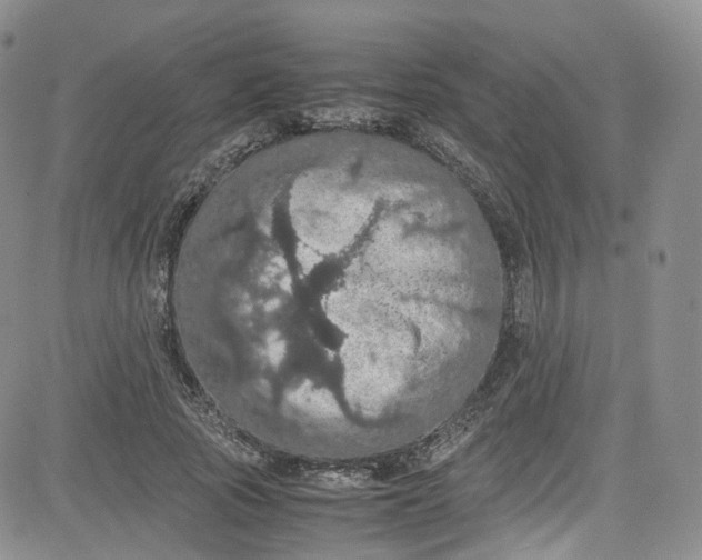 X0000080730737200701051058