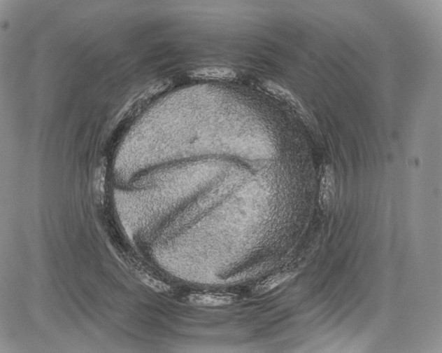 X0000080730739200701051058