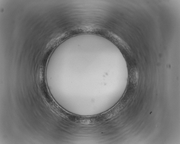 X0000080730740200701051058