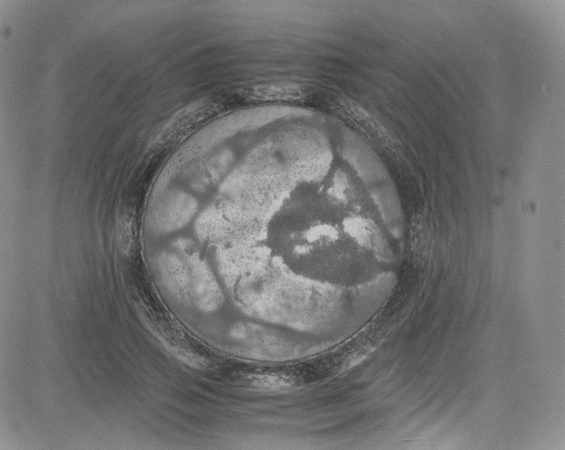 X0000080730741200701051058