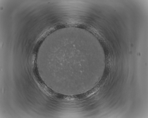 X0000080730742200701051058