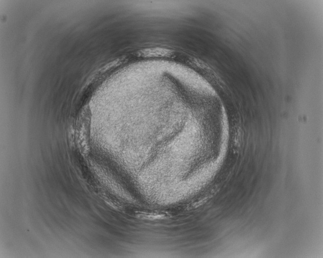 X0000080730743200701051058