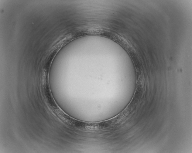 X0000080730744200701051058