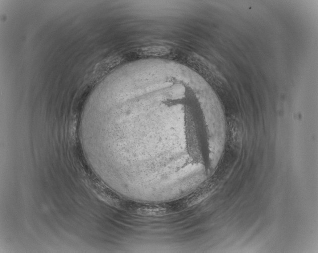 X0000080730745200701051058