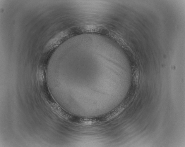 X0000080730746200701051058