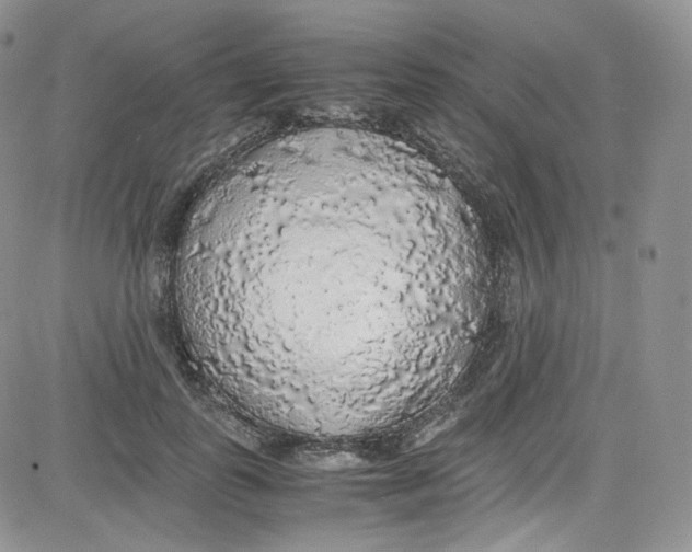 X0000080730747200701051058