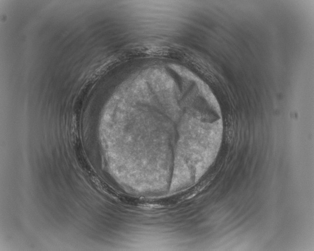 X0000080730748200701051059