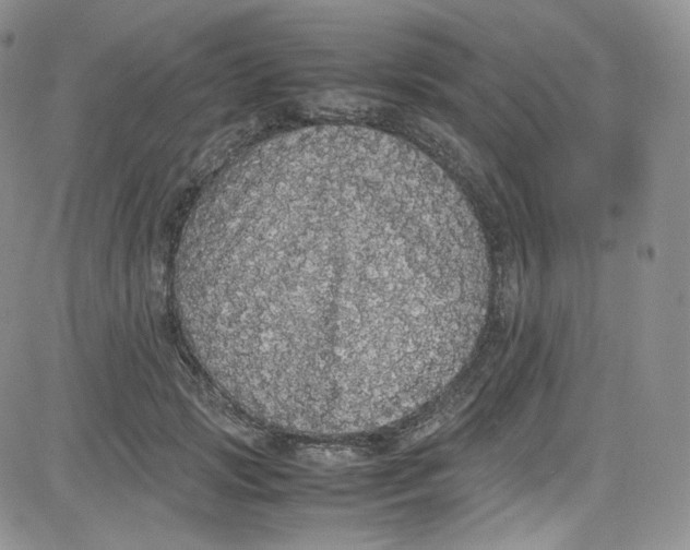 X0000080730749200701051059