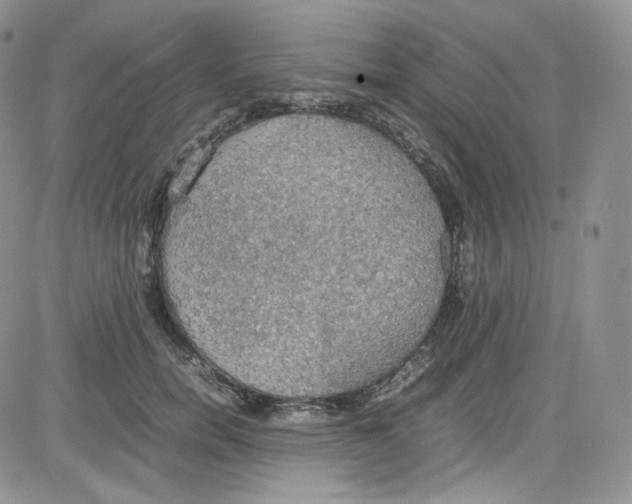 X0000080730750200701051059