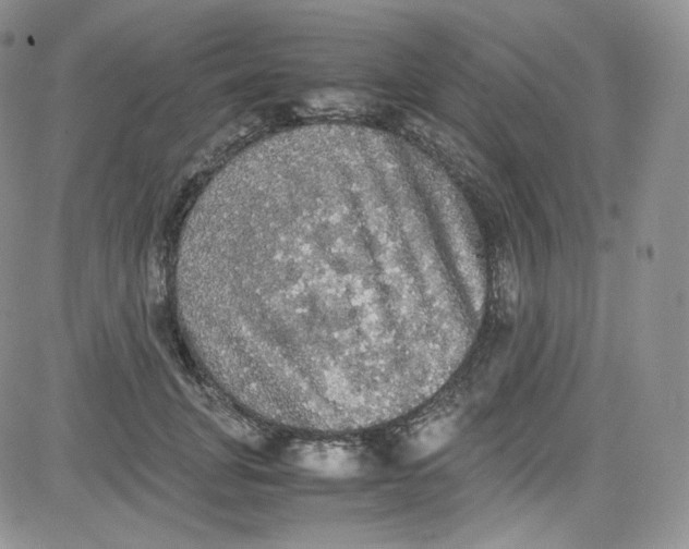 X0000080730751200701051059