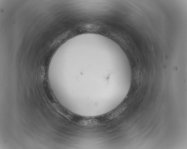 X0000080730752200701051059