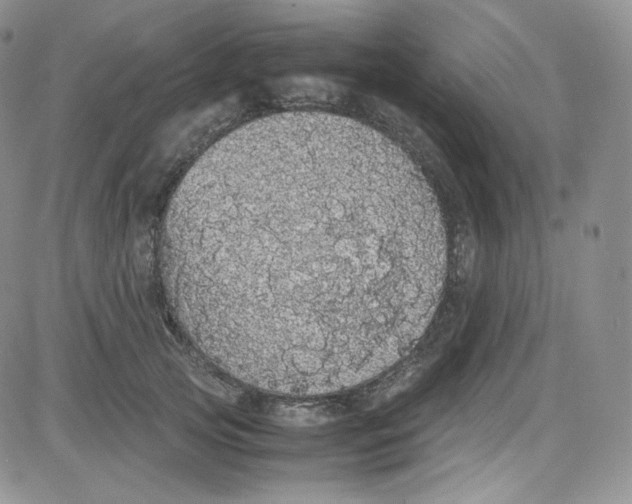 X0000080730753200701051059