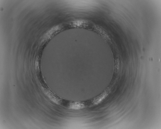 X0000080730754200701051059