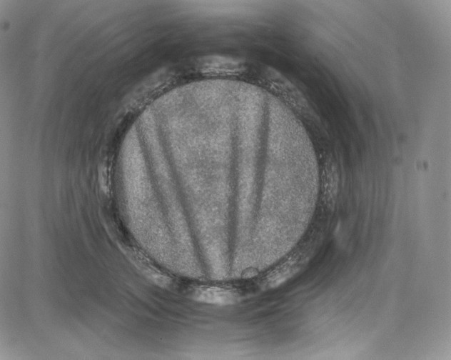 X0000080730755200701051059