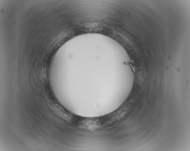 X0000080730756200701051059