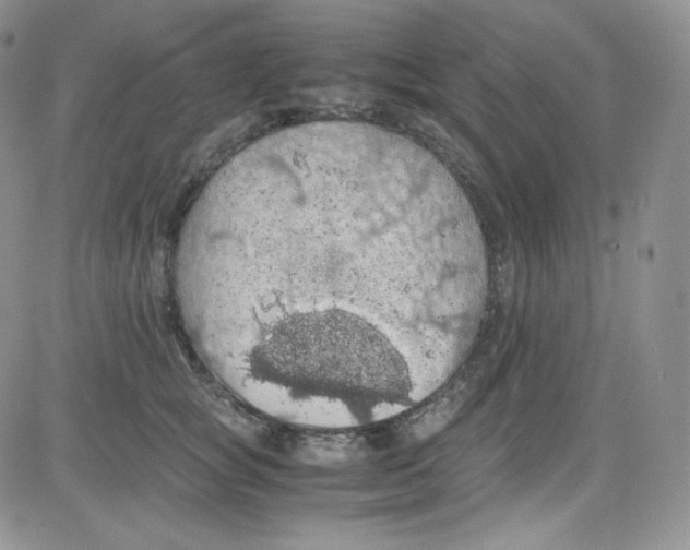 X0000080730757200701051059