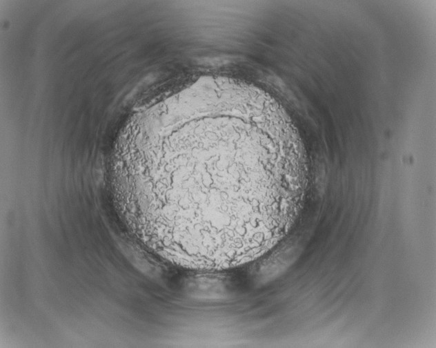 X0000080730758200701051059